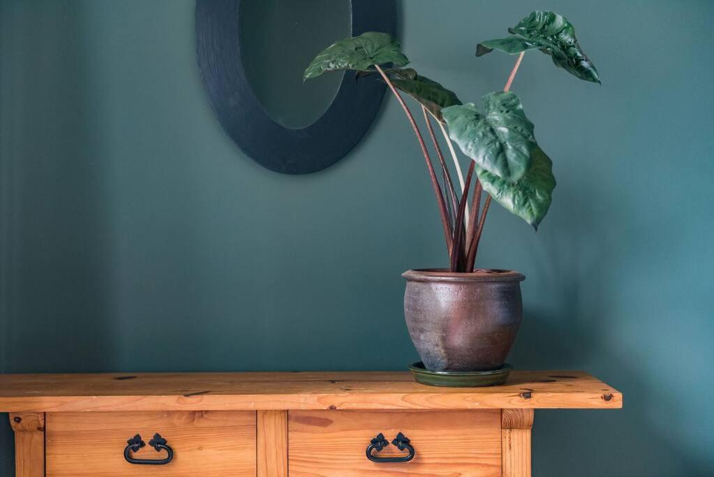 Heritage Cottage - Charming And Stylish Home With Lovely Garden Walmer 外观 照片
